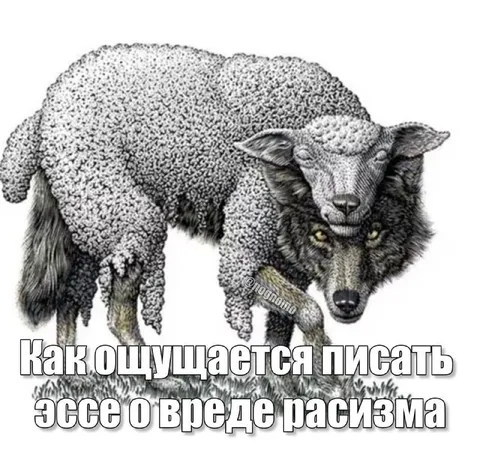 Эссе о вреде расизма