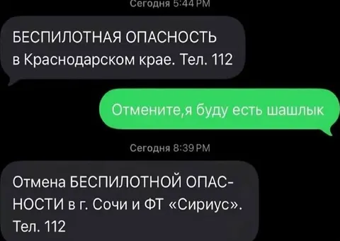 Шашлык важнее беспилотной опасности