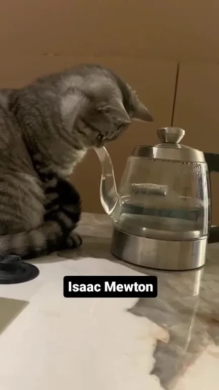 Isaac Mewton Drinks From Kettle