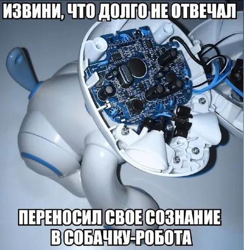 Собачка-робот не отвечает