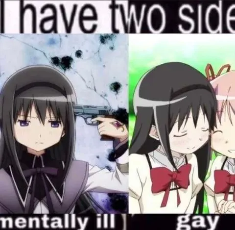 Have Two Sides Meme