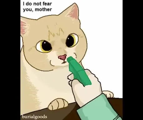 Cat Challenges the Water Spray