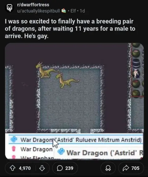 Gay Dragon Breeding Pair