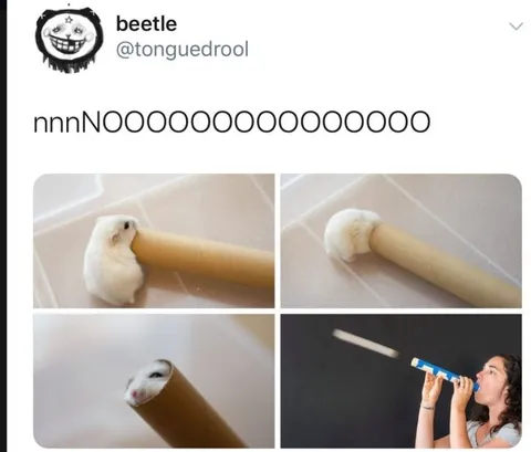 Hamster Rolling Pin Scream