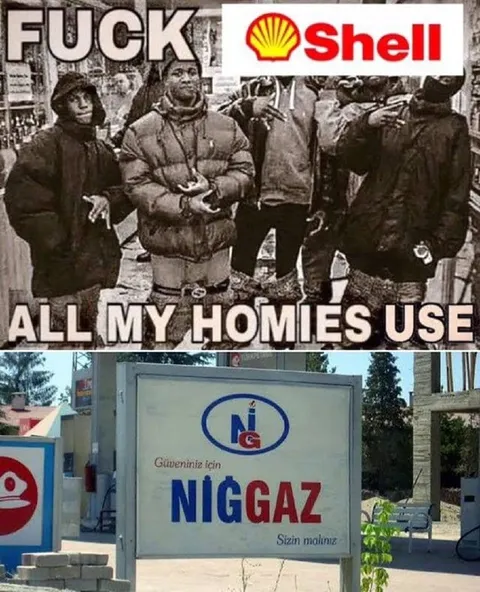 All My Homies Use Niğgaz