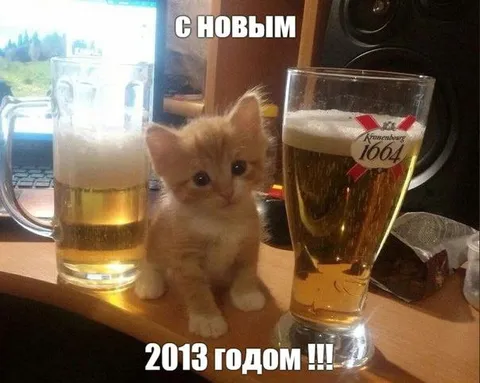 Котёнок встречает Новый год