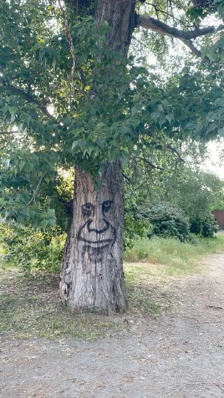 Дерево с довольным лицом
