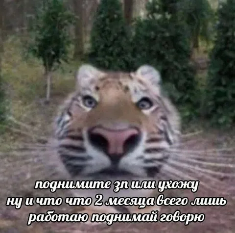 Поднимите зарплату или ухожу