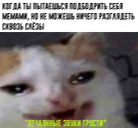Когда пытаешься представить мем