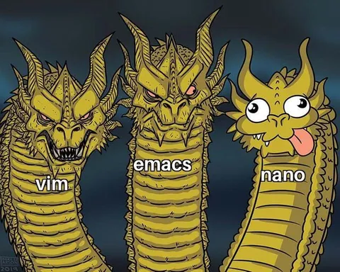 Vim Emacs Nano Dragons