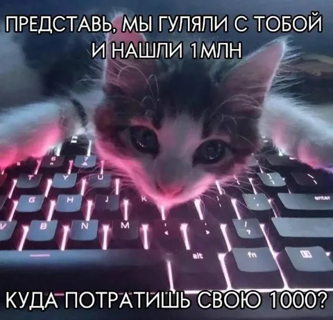 Кот нашёл миллион