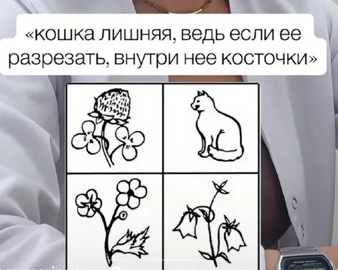 Кошка лишняя среди растений