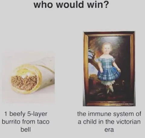 Beefy Burrito vs Victorian Immune System