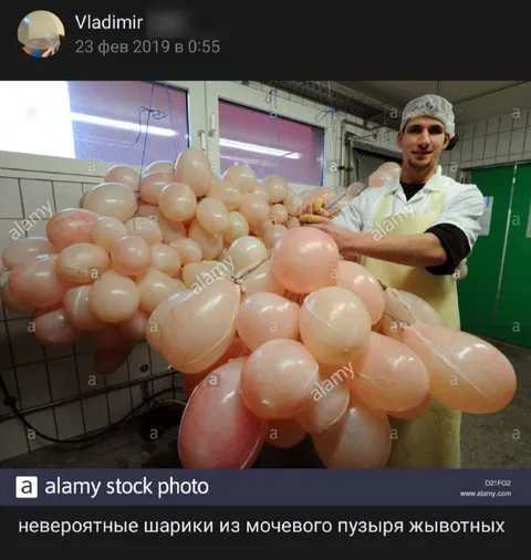 Шарики из мочевого пузыря
