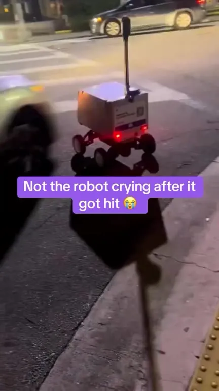 Robot Scooter Gets Hit and Cries