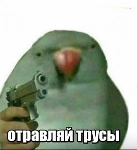 Отправляй трусы