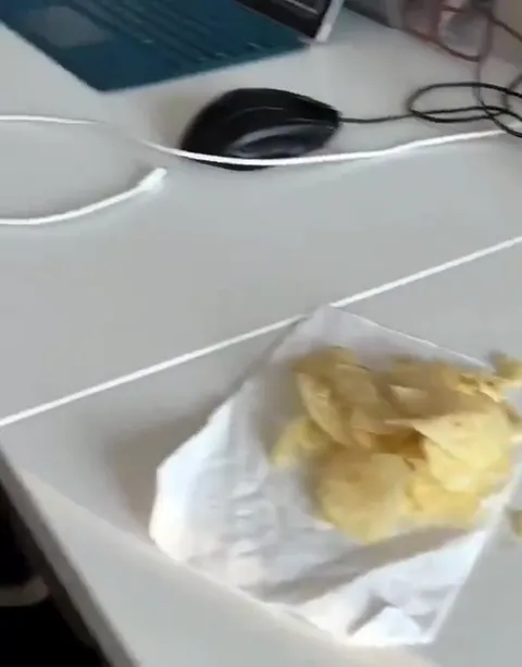 Котёнок пьёт молоко из бутылочки