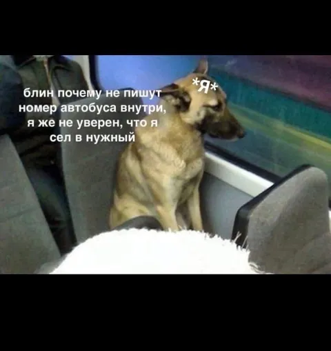 Не уверен, что сел в нужный автобус