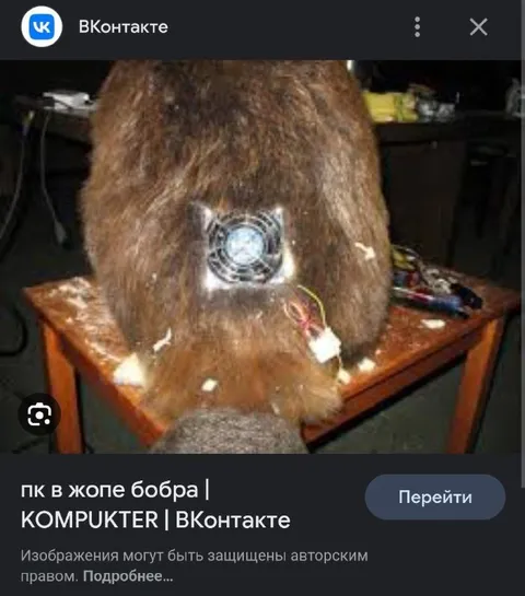 Компьютер в жопе бобра