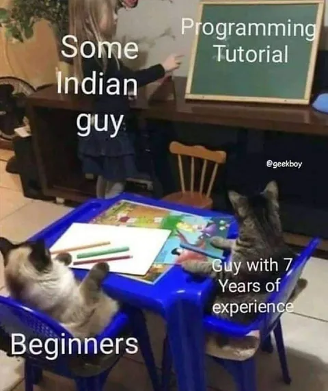 Cats Learn Programming