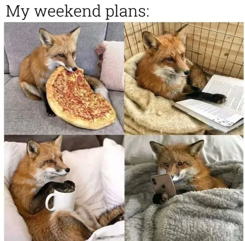 My Weekend Plans Fox