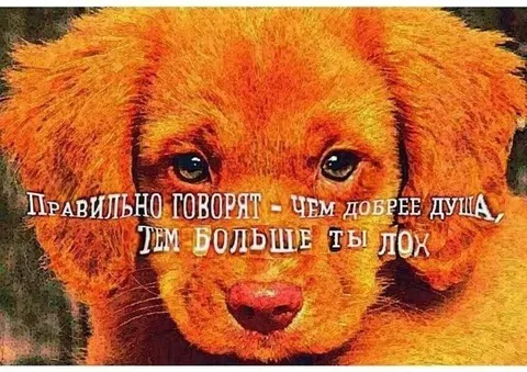 Чем добрее душа, тем больше лох