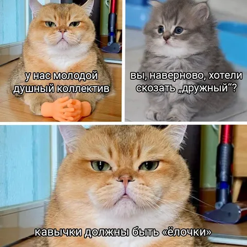 Душный коллектив и кавычки