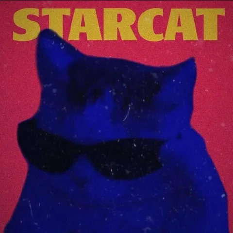 Starcat Wearing Sunglasses