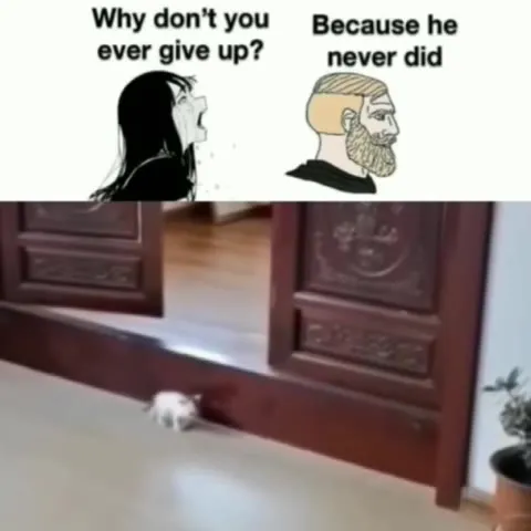 Because He Never Did
