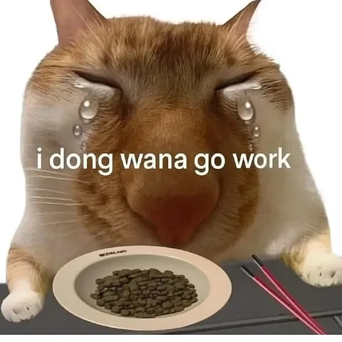 Crying Cat Does Not Want Work