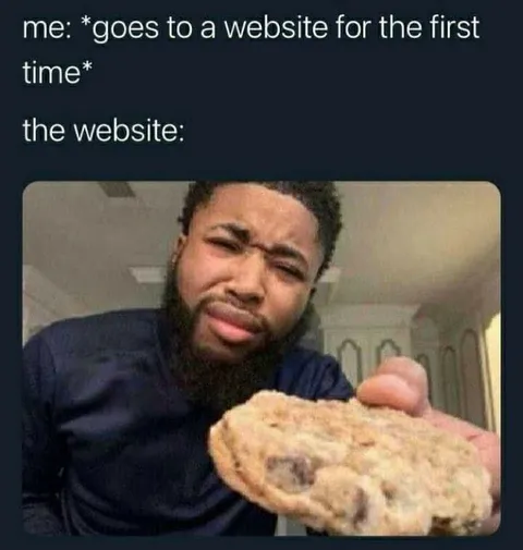 Website Cookie Inspection