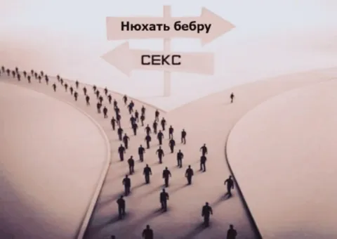 Выбор между беброй и сексом