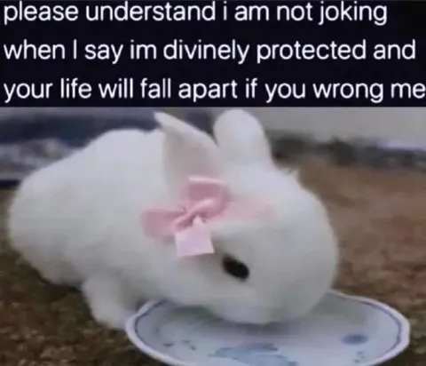Divinely Protected Bunny