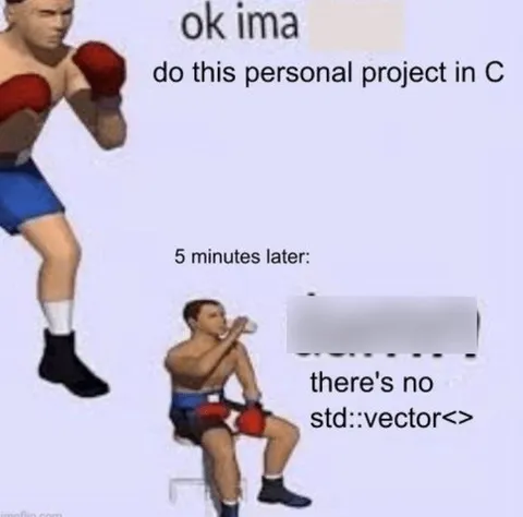 C++ Project Has No Vector