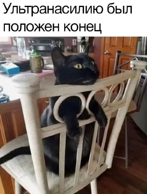 Кот положил конец ультранасилию