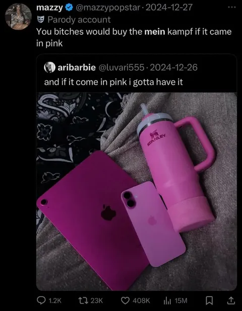 Pink Mein Kampf Joke