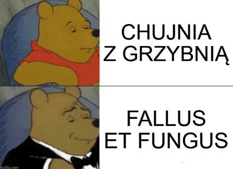 Chujnia z grzybnią i fallus