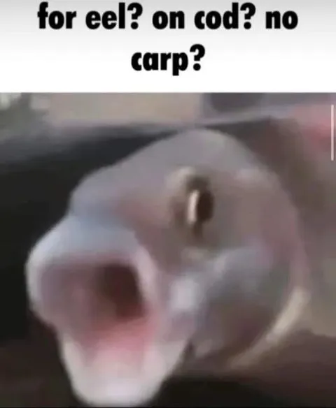 Eel or carp confusion