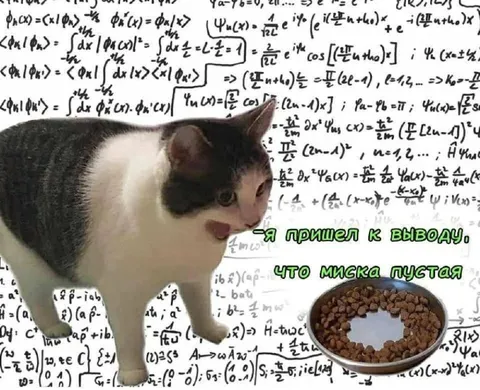 Кот пришёл к выводу