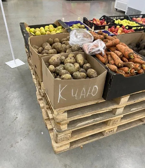 Картошка на паллетах