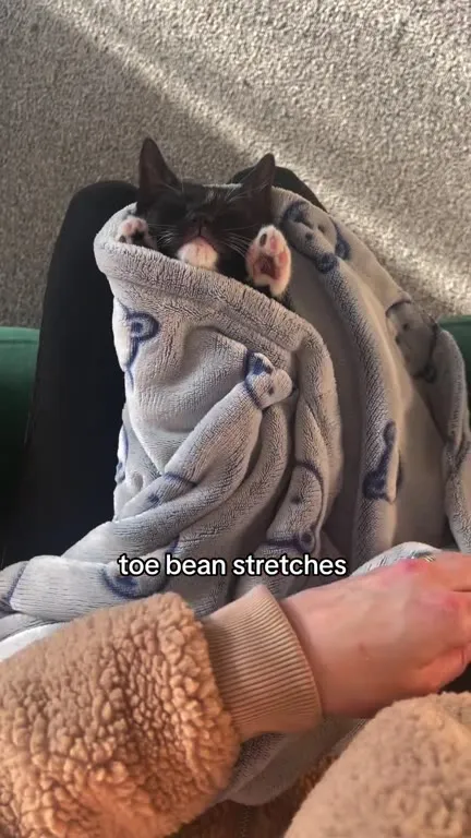 Toe Bean Stretches