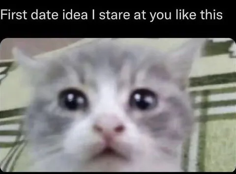 First Date Staring Cat