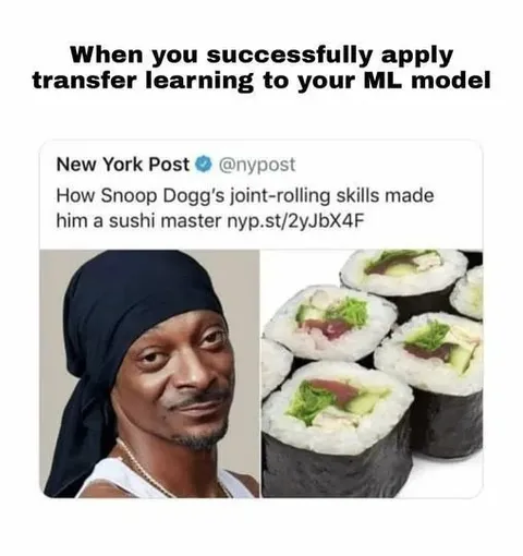 Snoop Dogg Sushi Transfer Learning