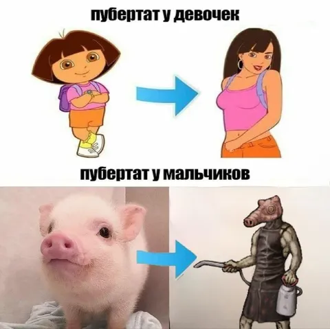 Пубертат у девочек и мальчиков