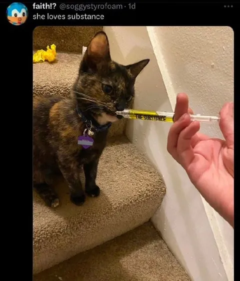 She Loves The Substance