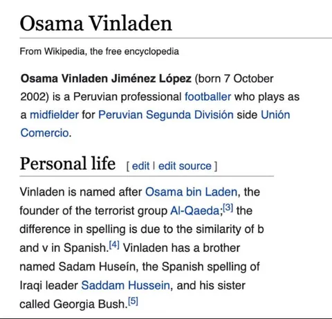 Osama Vinladen Wikipedia Page