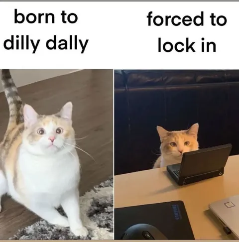 Born to Dilly Dally, Forced to Lock In