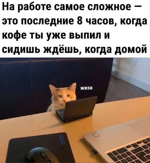 Последние часы на работе