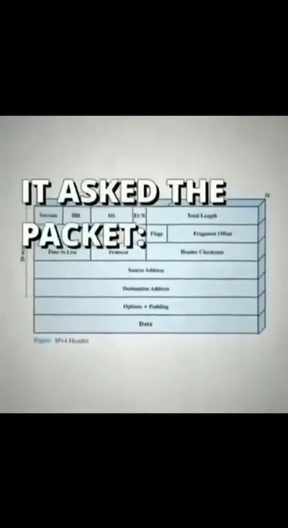 Router Always Wins