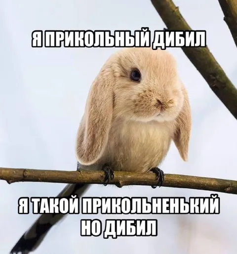 Прикольный, но дебил